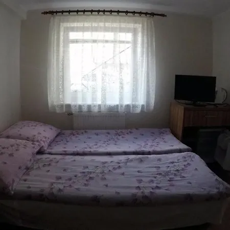U Grazyny Guest house *